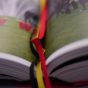 Buchfotos 6