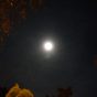 Der Mond mit einer farbigen Korona Foto: Michael Mahlke