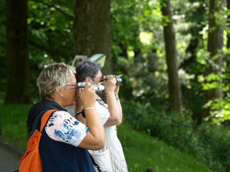 weibliche Fotografie weibliche Weibliche Fotografie ein männlicher Versuch